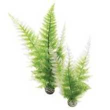 biOrb winter fern (2)